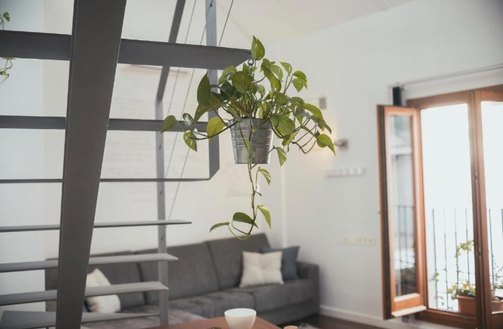 Trigo Homes Córdoba Kültér fotó